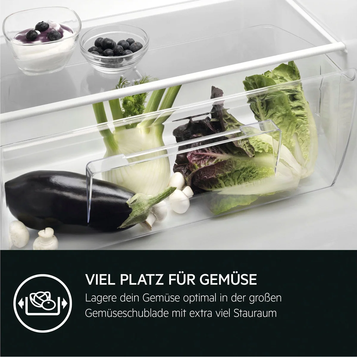 AEG TSK5O881ES Einbaukühlschrank, 208 L Volumen, variable Glasablagen, leise 36 dB 5