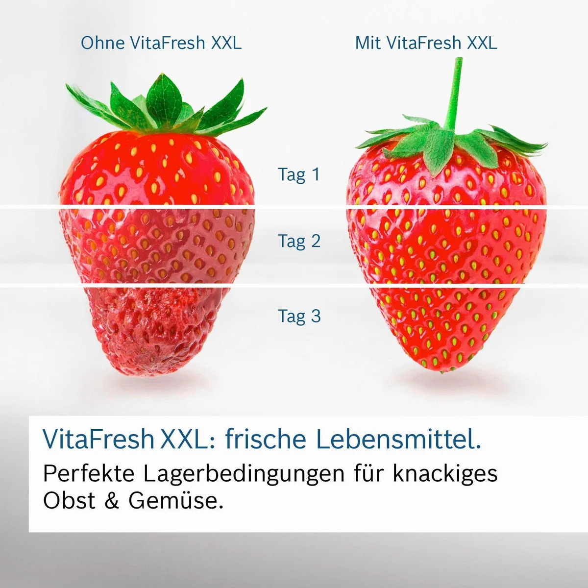 BOSCH KGN49AIBT Kühl-/Gefrierkombination, No Frost, Energieeffizienzklasse B 2