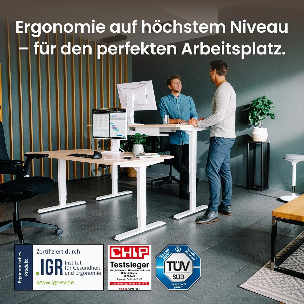 Ergotopia Pro X elektrisch höhenverstellbarer Schreibtisch, flexible Höheneinstellung, edles OLED-Display 2