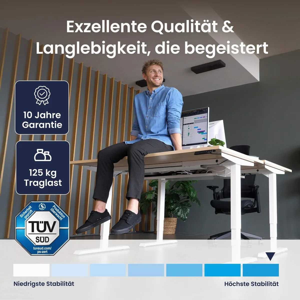 Ergotopia Pro X elektrisch höhenverstellbarer Schreibtisch, flexible Höheneinstellung, edles OLED-Display 4