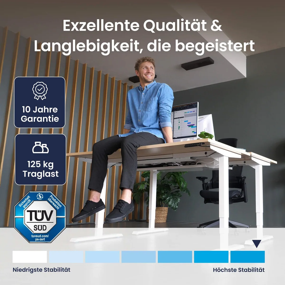 Ergotopia Pro X elektrisch höhenverstellbarer Schreibtisch, flexibles Arbeiten & OLED-Display 4