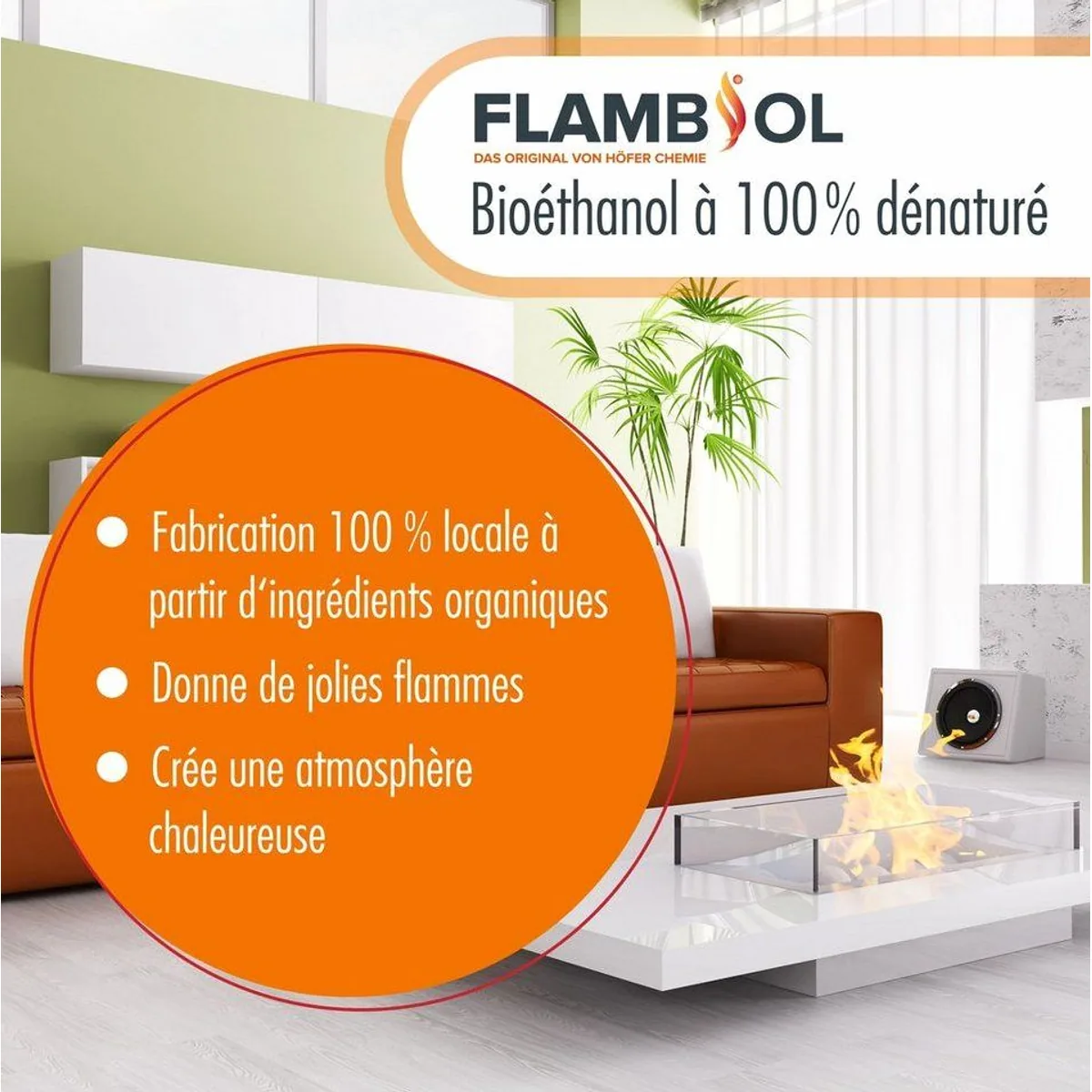 Höfer Chemie Bioethanol 5L, 96,6% Reinheit, für Kamine & Brenner 4