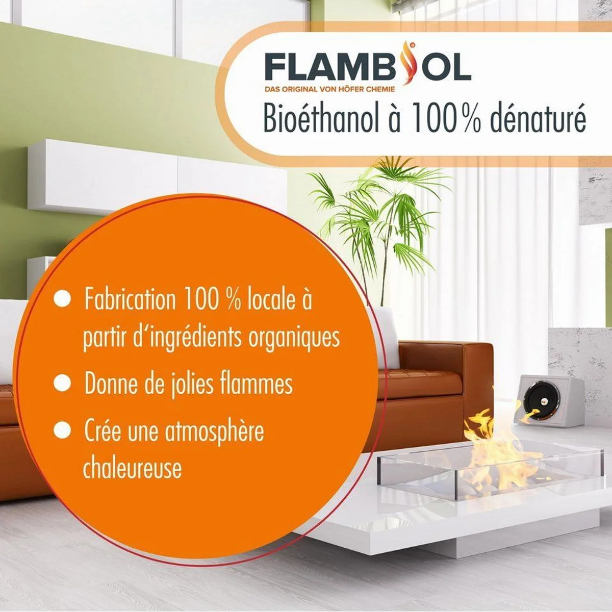 Höfer Chemie Bioethanol 96,6% Premium, 5L Kanister – sauberer Brennstoff für Kamine 4
