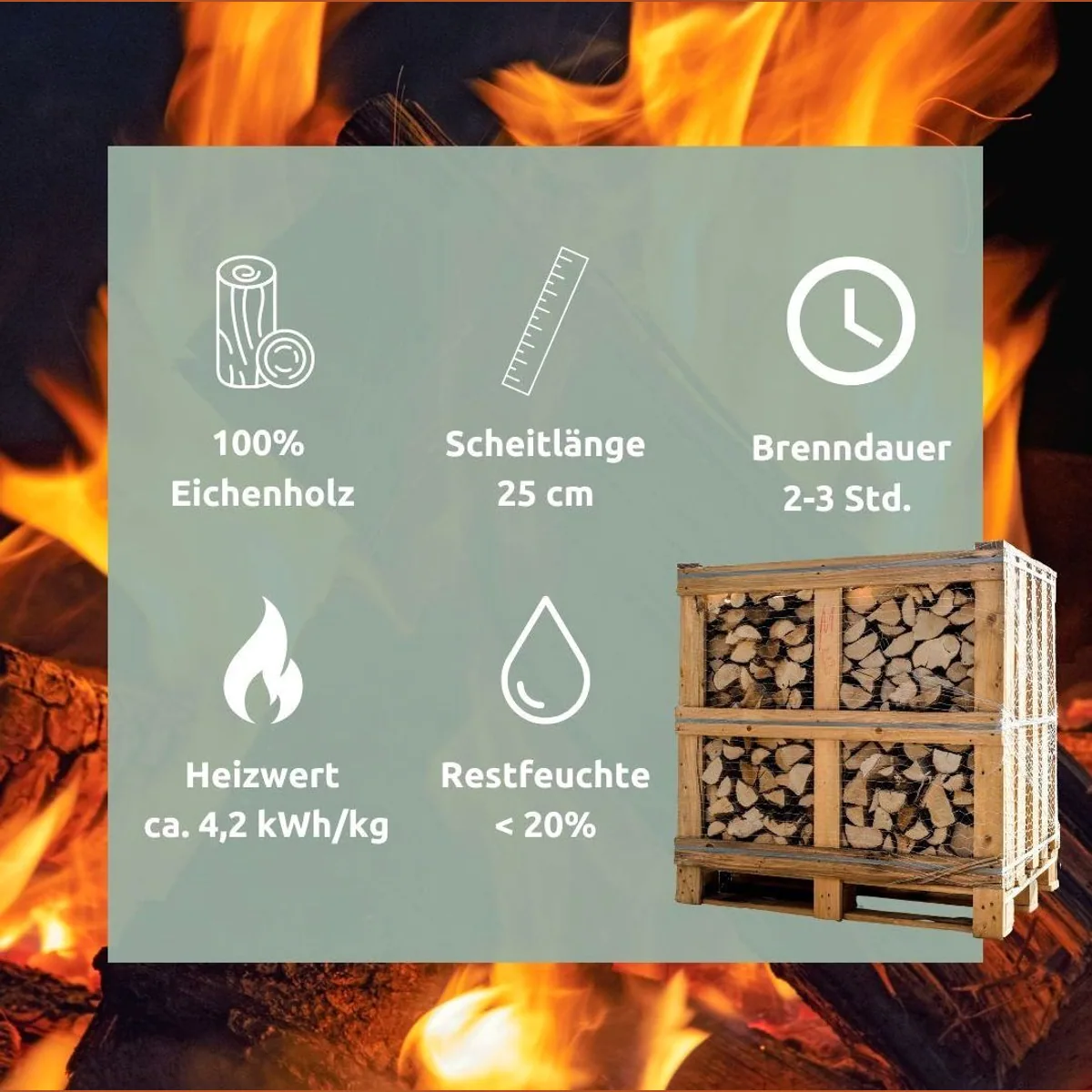 holz4home Kaminholz Eiche, kammergetrocknet, hoher Heizwert — 1 RM, 1,6 SRM 4
