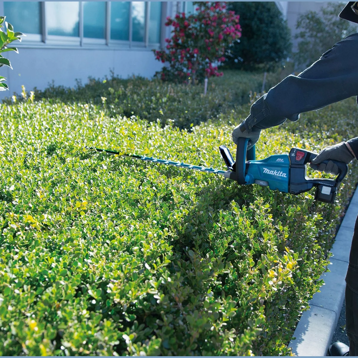 Makita DUH751Z Akku-Heckenschere, 75 cm Schnittlänge, kraftvoll und präzise 2