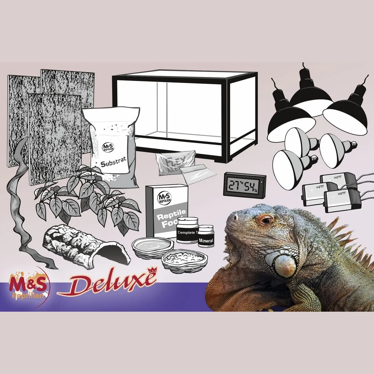 M&S Reptilien Terrarium Komplettset DELUXE, ideal für Leguane, umfangreiche Ausstattung 5