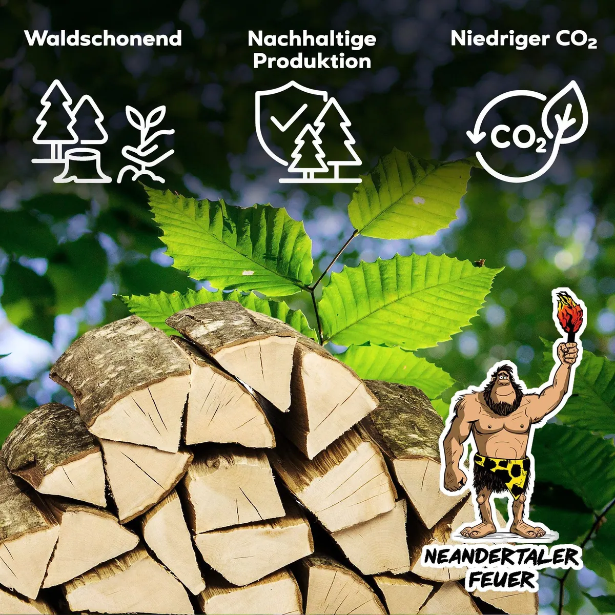 Neandertaler Feuer Hartholz, 500 kg, hoch Heizwert, kammergetrocknet, direkt vom Hersteller 5