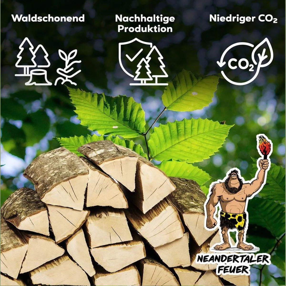 Neandertaler Feuer Hartholz, kammertrocknet, 900 kg — hoher Heizwert, gleichmäßige Verbrennung, vielseitig einsetzbar 5