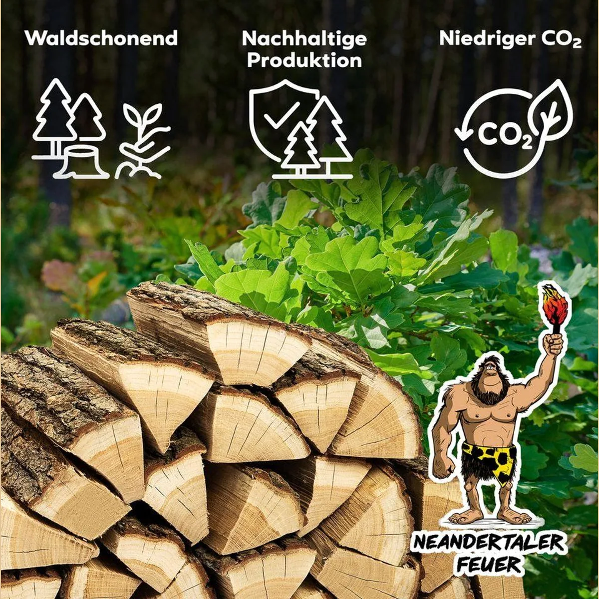 Neandertaler Feuer Brennholz, 100% Hainbuche, hohe Heizkraft 5