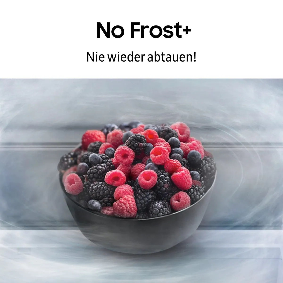 Samsung RL38C600CSA Kühl-/Gefrierkombination, No Frost, MultiAirflow, 35 dB 5