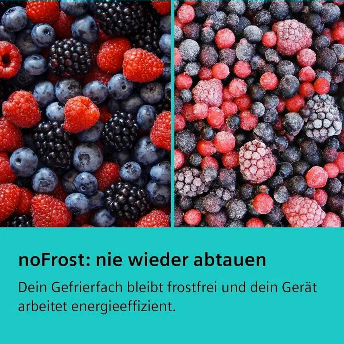 SIEMENS KG39NAIAU Kühl-/Gefrierkombination, Energieeffizienzklasse A, leise im Betrieb, hyperFresh 0°C 3