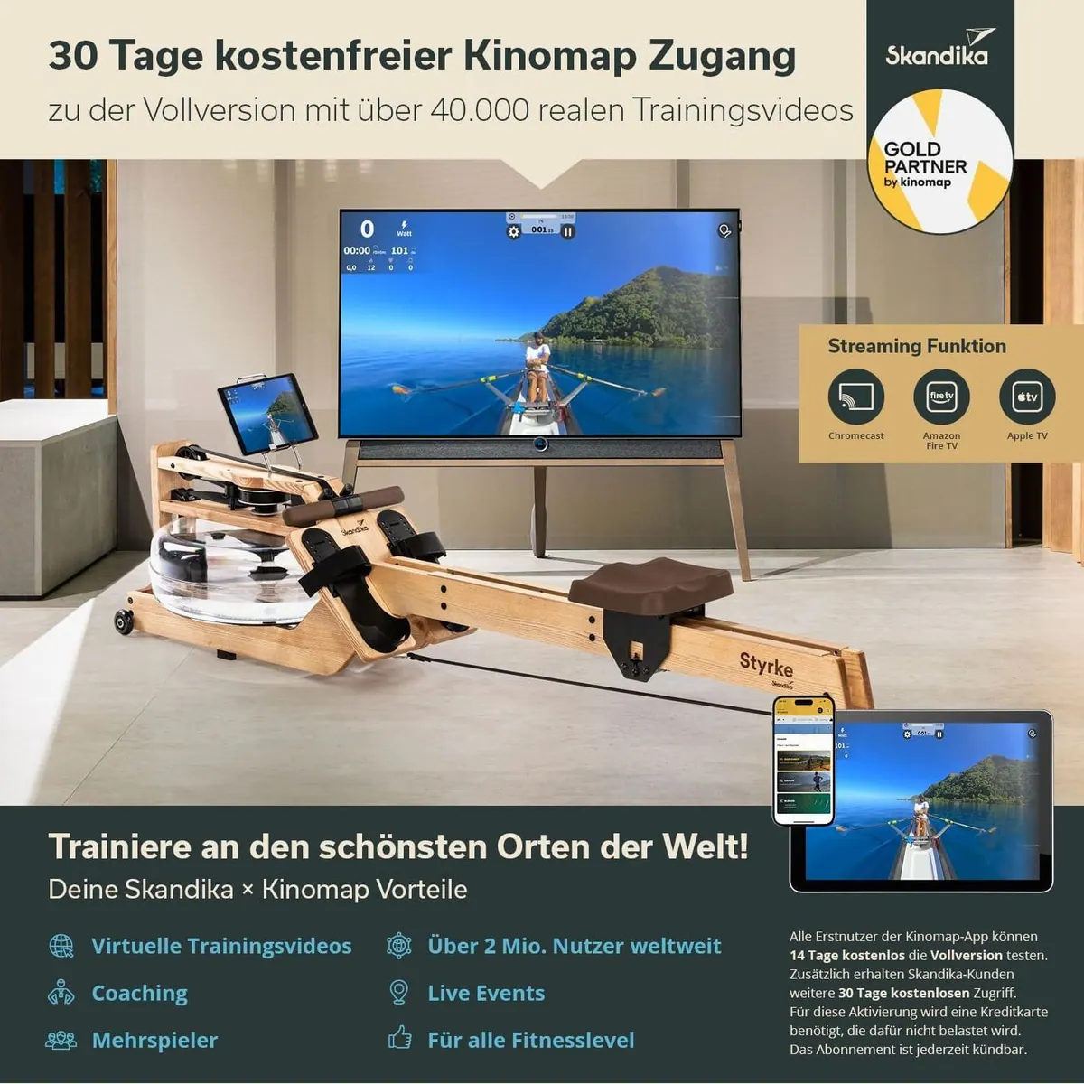 Skandika Styrke Rudergerät, Echtholz, Bluetooth, Kinomap App — bis 180 kg, platzsparend, handgefertigt 5