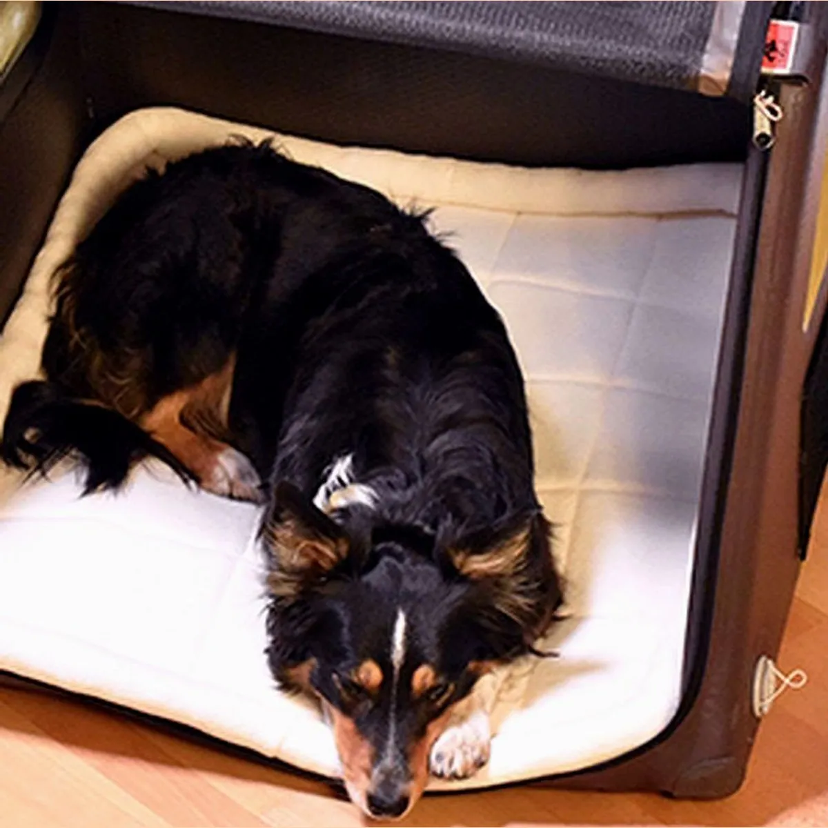Tami-Dogbox Backseat M, Faltbar, Airbag-Funktion, Leicht abwaschbar 5