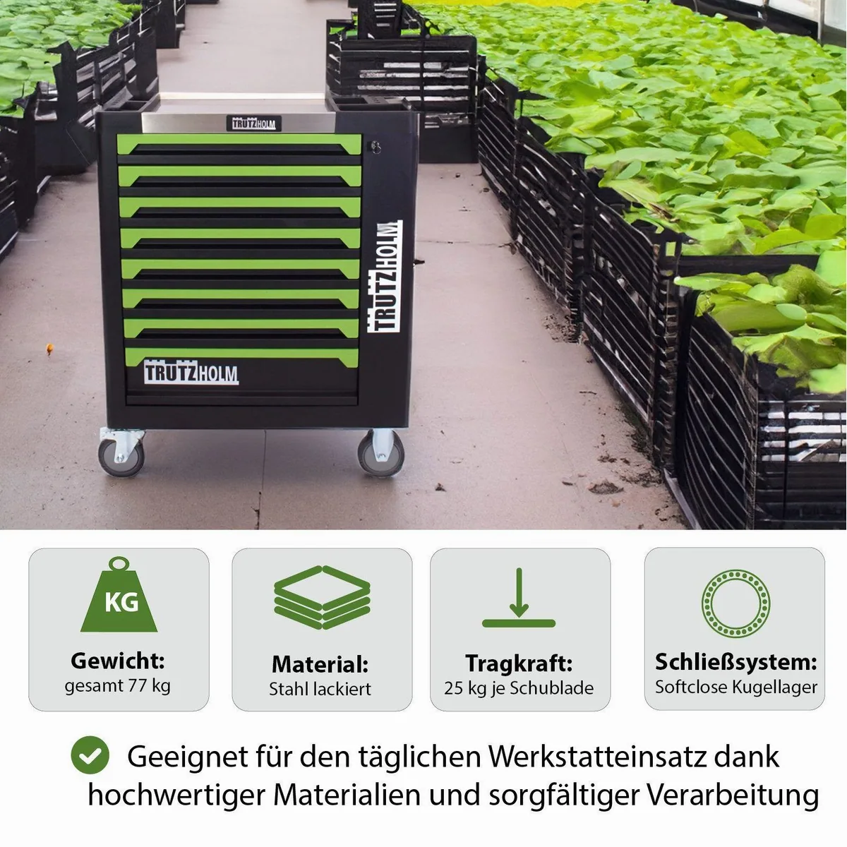 TRUTZHOLM Werkstattwagen 249-tlg., robust, mobil, abschließbar 4