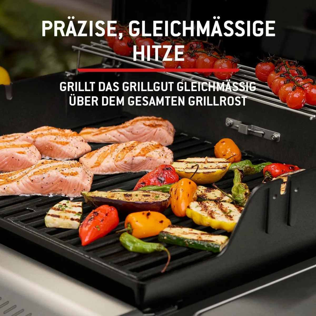 Weber Spirit E-210 Gasgrill, kompakt, leistungsstark, einfach zu bedienen 4